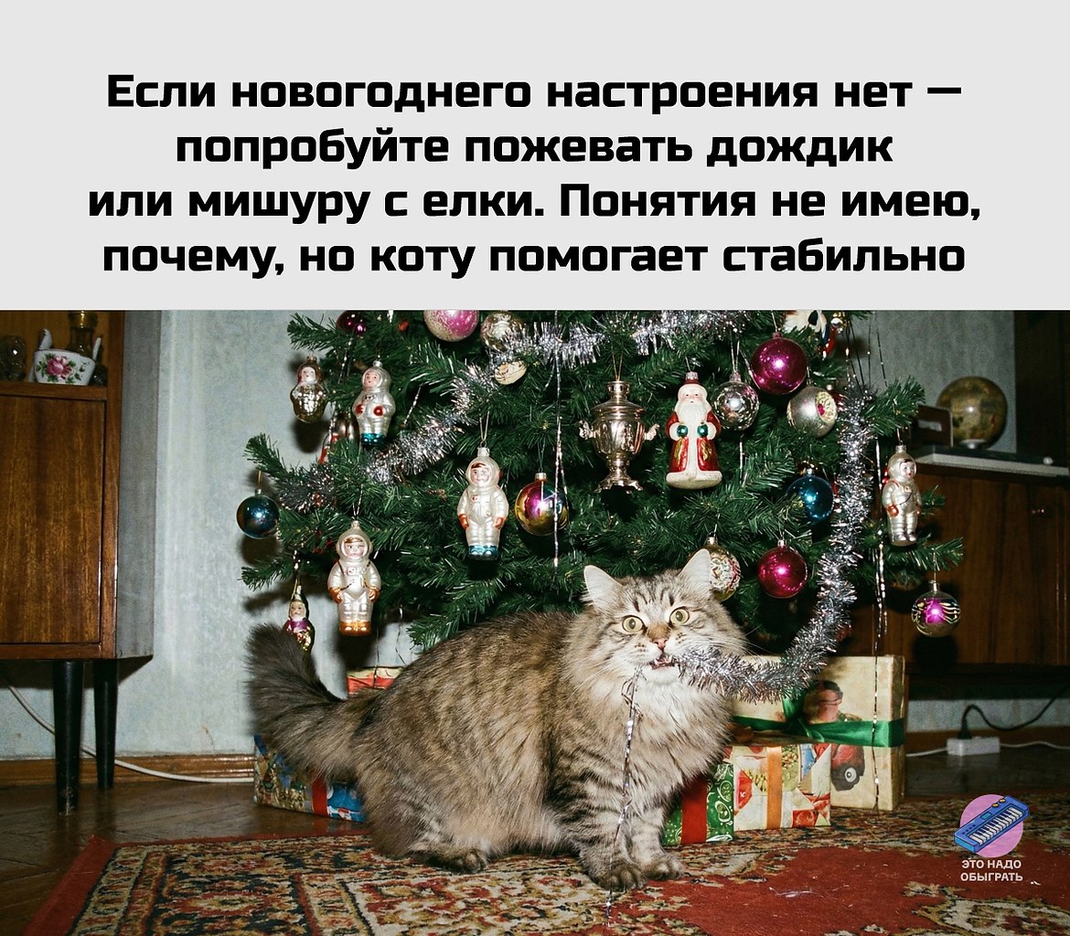 ��� ���� - 23 ������� 2025 � 16:52