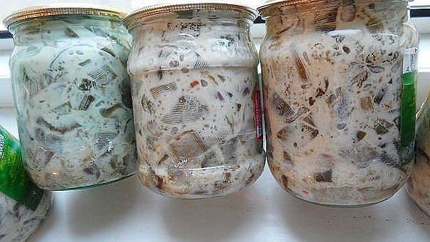 Баклажаны в майонезе со вкусом грибов. Обалденная штука! Ингредиенты: На 5 кг синих 800 гр любого ...