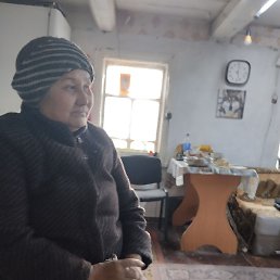 ����, �������, 65 ���