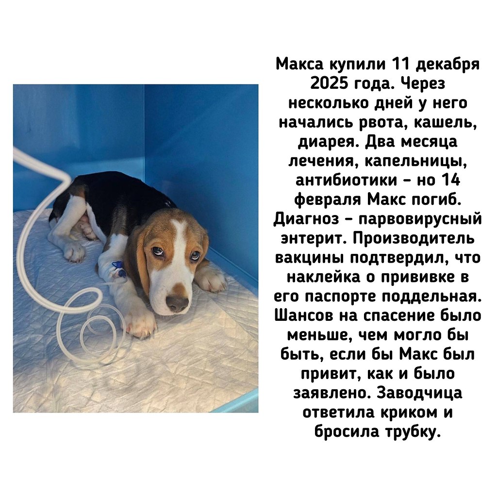 �� - ������������ ������ ������������ �� �������� ��������� (��������) �� ������ ����� (���������� ... - 8
