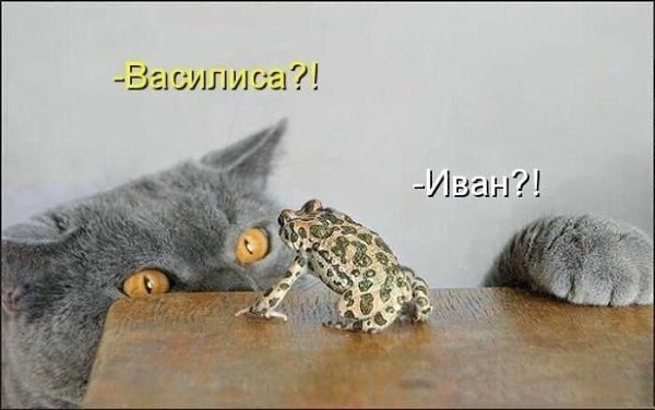 �������� ������ - 16 ������� 2025 � 19:58
