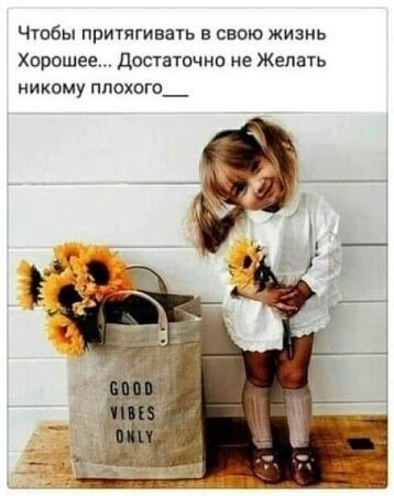  - 12  2025  11:06