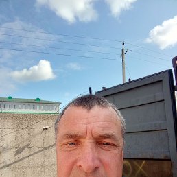 ����, 47 ���, �����������