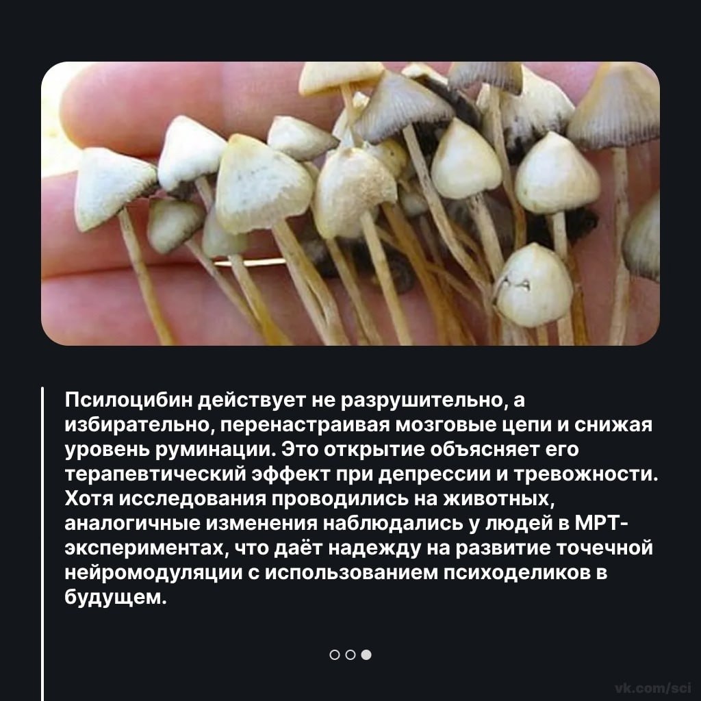  |  |   5 - 5  2025  08:55 - 3