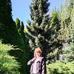 , 53, 