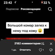 �����, 28 ���, ������