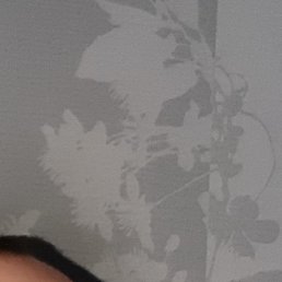 ������, ����, 36 ���