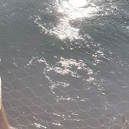 , 31, 