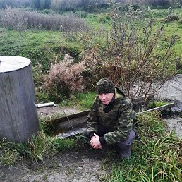 ����, 36 ���, ����