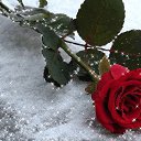 ���� ������, �������� - ��������� 30 ����� 2025 � ������ ���� ����������