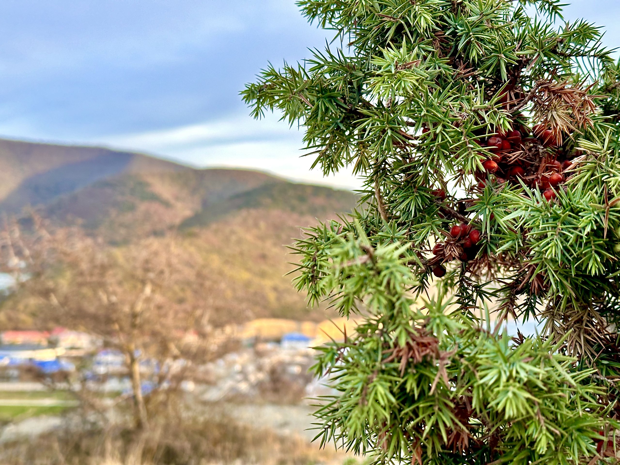  - 9  2023  03:09 - 5