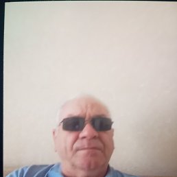�����, ����, 65 ���