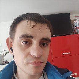 ����������, 36 ���, �����������