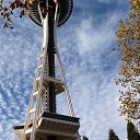 ���� ������, ������, 61 ��� - ��������� 11 ������� 2025 � ������ ���� ����������