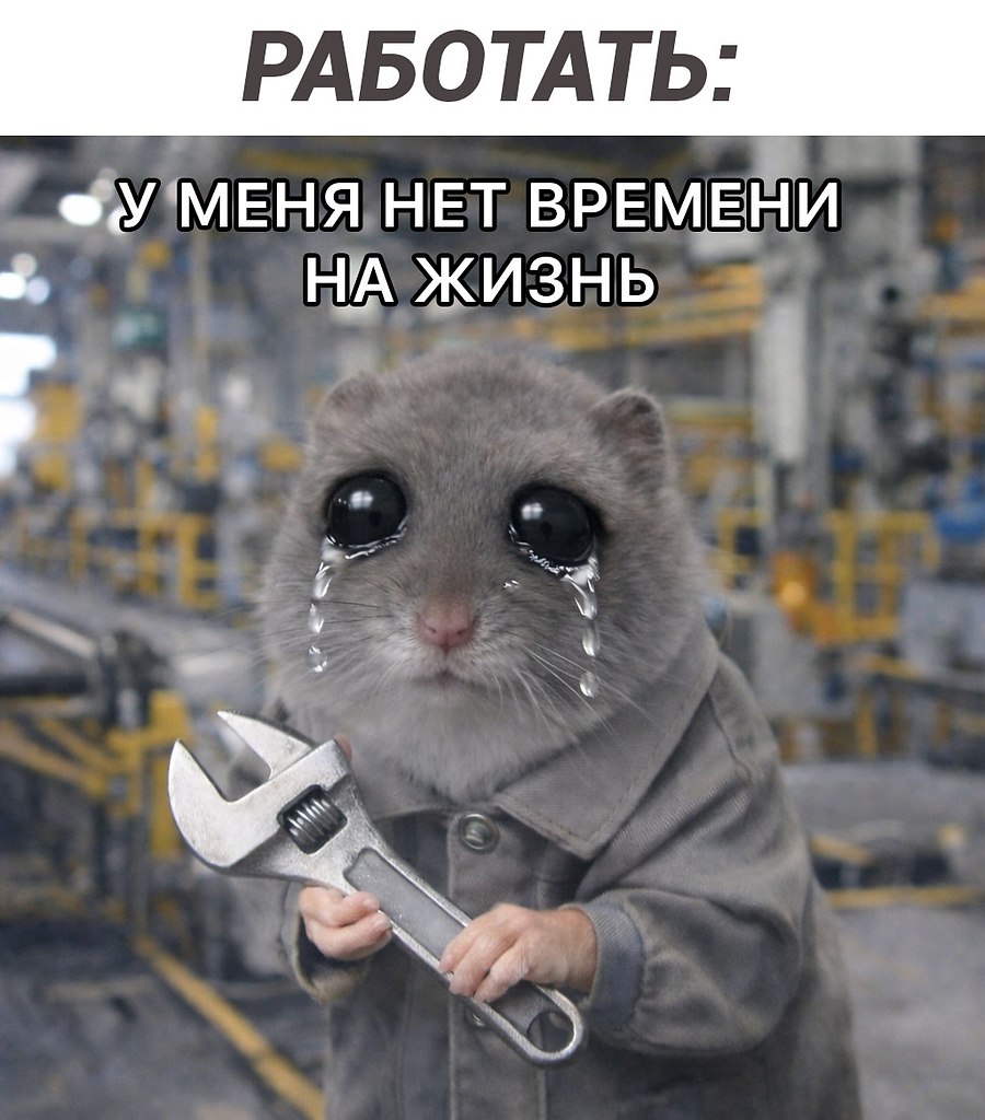 � ��� ����� ���� ������?