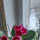 ���� ���������, �����-��������� - ��������� 12 ������ 2024