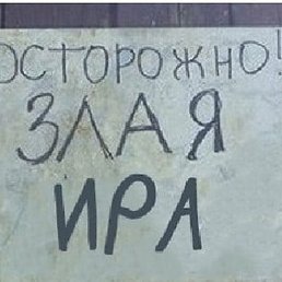 �����, �������, 41 ���