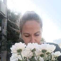 ����� �����, ������, 40 ���