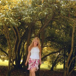 �����, �������, 48 ���