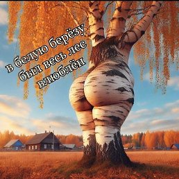 �����, ���������, 59 ���