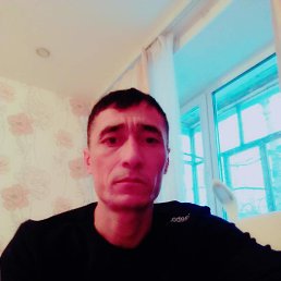 ���� �����, ������, 49 ��� - ��������� 14 ���� 2026