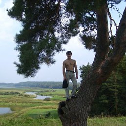 ����, ������� ����, 39 ���