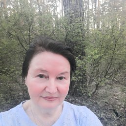 , 65, 