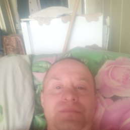 ���� ���������, ���������, 43 ���� - ��������� 3 ���� 2024