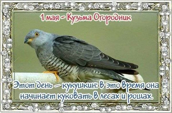Именины: Ефим, Тамара, Феликс, Виссарион, Виктор, Кузьма, Василий, Иван - 2