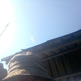 Ivan, 56, 