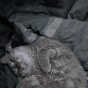 ���� ����, ���������, 55 ��� - ��������� 9 ������� 2025 � ������ ������ ��������