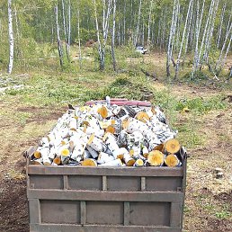 �����, ���, 64 ����