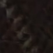 ����, 52 ����, �����-���������