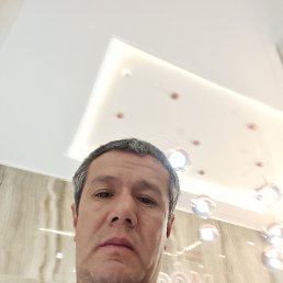 , 43, 