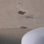 ������, 37 ���, ����-���������