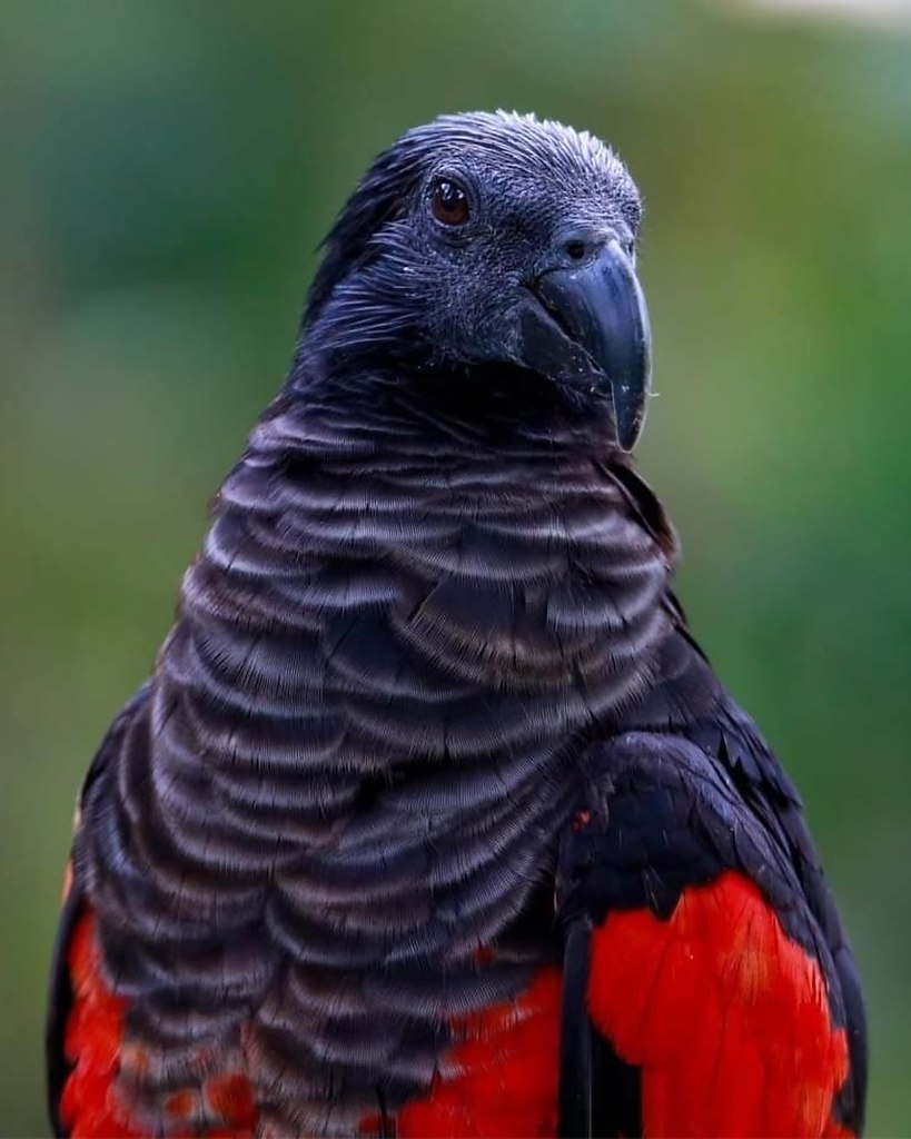 - -       .     .  ... - 4