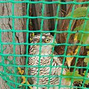 ���� Slavik, �����������, 34 ���� - ��������� 24 ��� 2026
