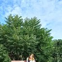 ���� ����, ������� ��������, 49 ��� - ��������� 5 ������ 2026 � ������ ���� ����������