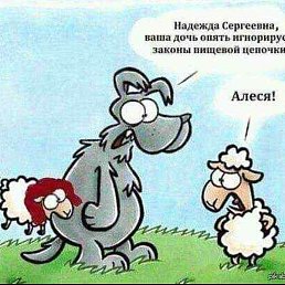 ����, �������, 41 ���