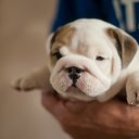 ���� ������, ������ ��������, 71 ��� - ��������� 24 ������ 2023