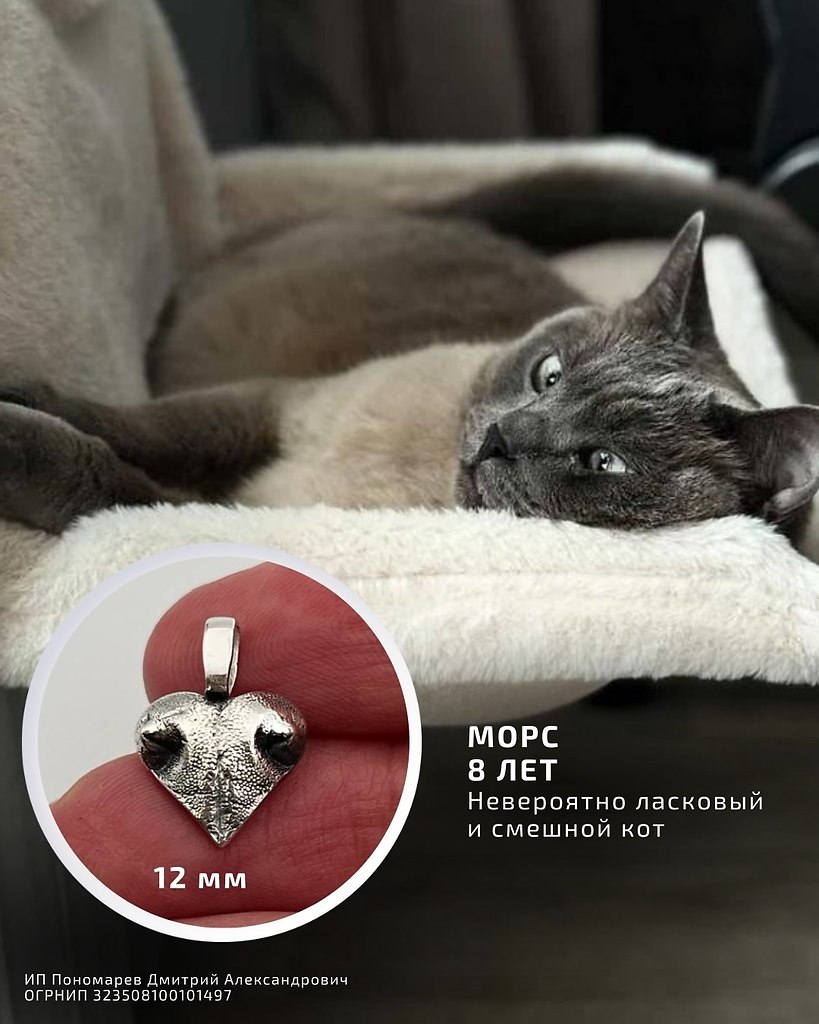 ������� ��������� � ���������� ������� � ����� ��������! ������, ��������, ������ � ������ ������. � ... - 2