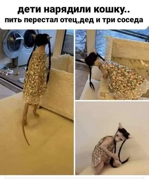  - 7  2025  07:32