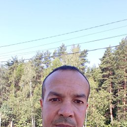 , 41 , 