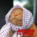 ���� �����, ���������, 60 ��� - ��������� 20 �������� 2024