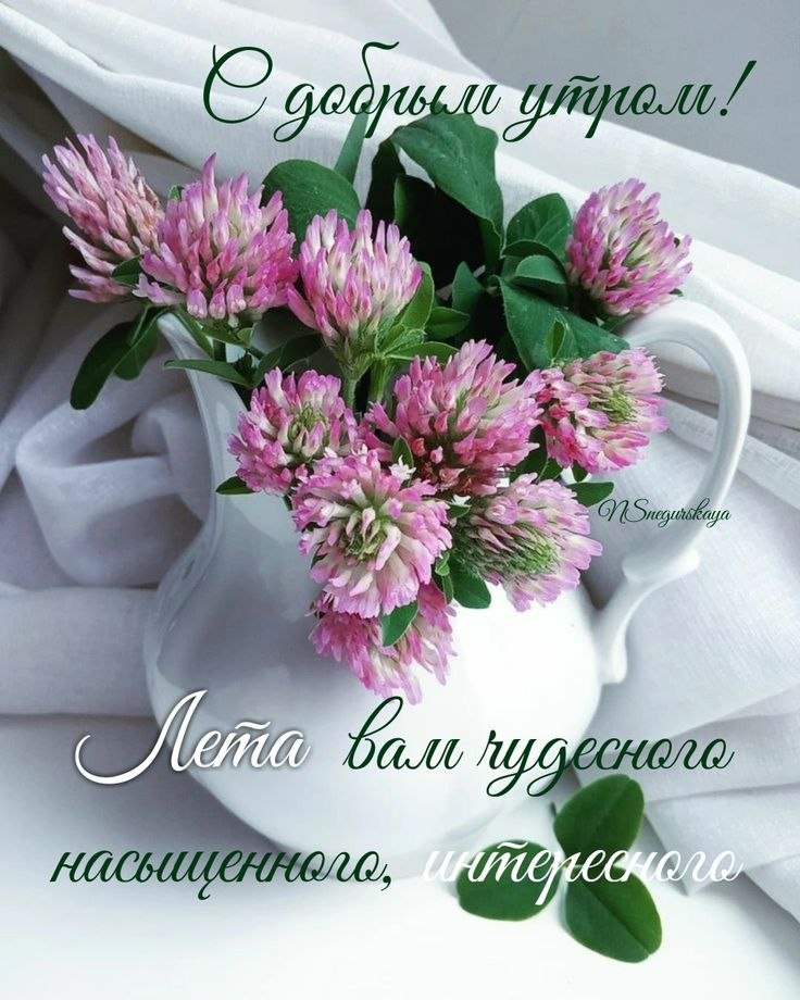 Всё будет хорошо! - 19 августа 2025 в 06:19