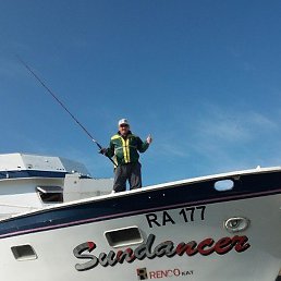 ����, ������