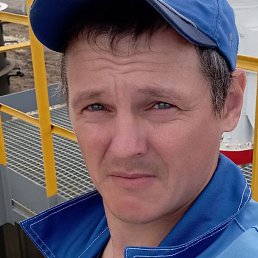 ������, �������, 36 ���