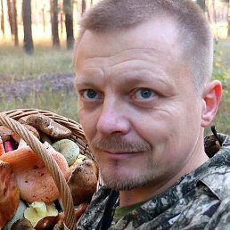 ������, �����������, 43 ����