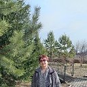 ���� ������***, �������� - ��������� 3 ����� 2026 � ������ ���� ����������