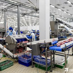 ���� �������, ������, 36 ��� - ��������� 27 ������� 2023